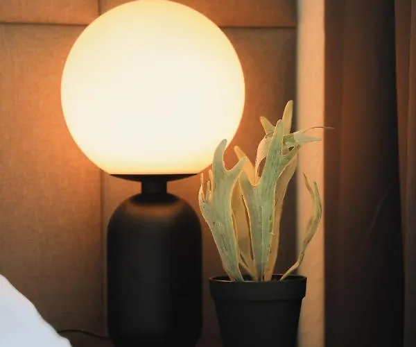 Jawo Im Herzen Von Apartman Koblenz