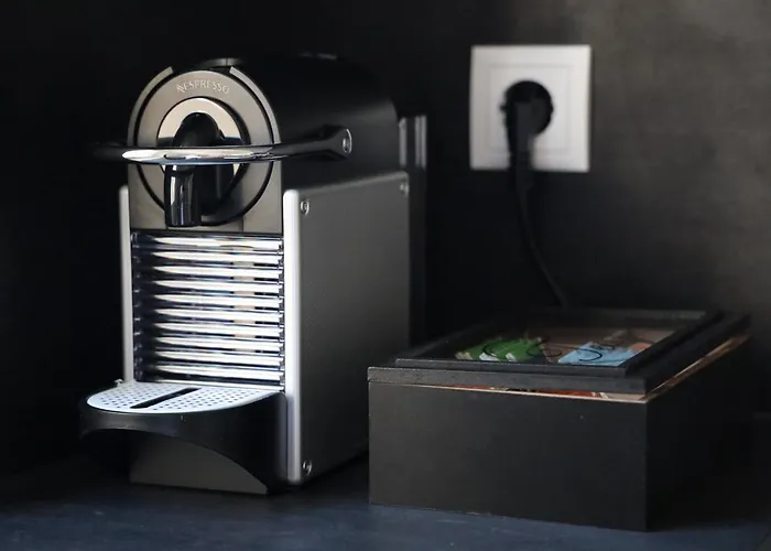 Jawo Im Herzen Von Koblenz